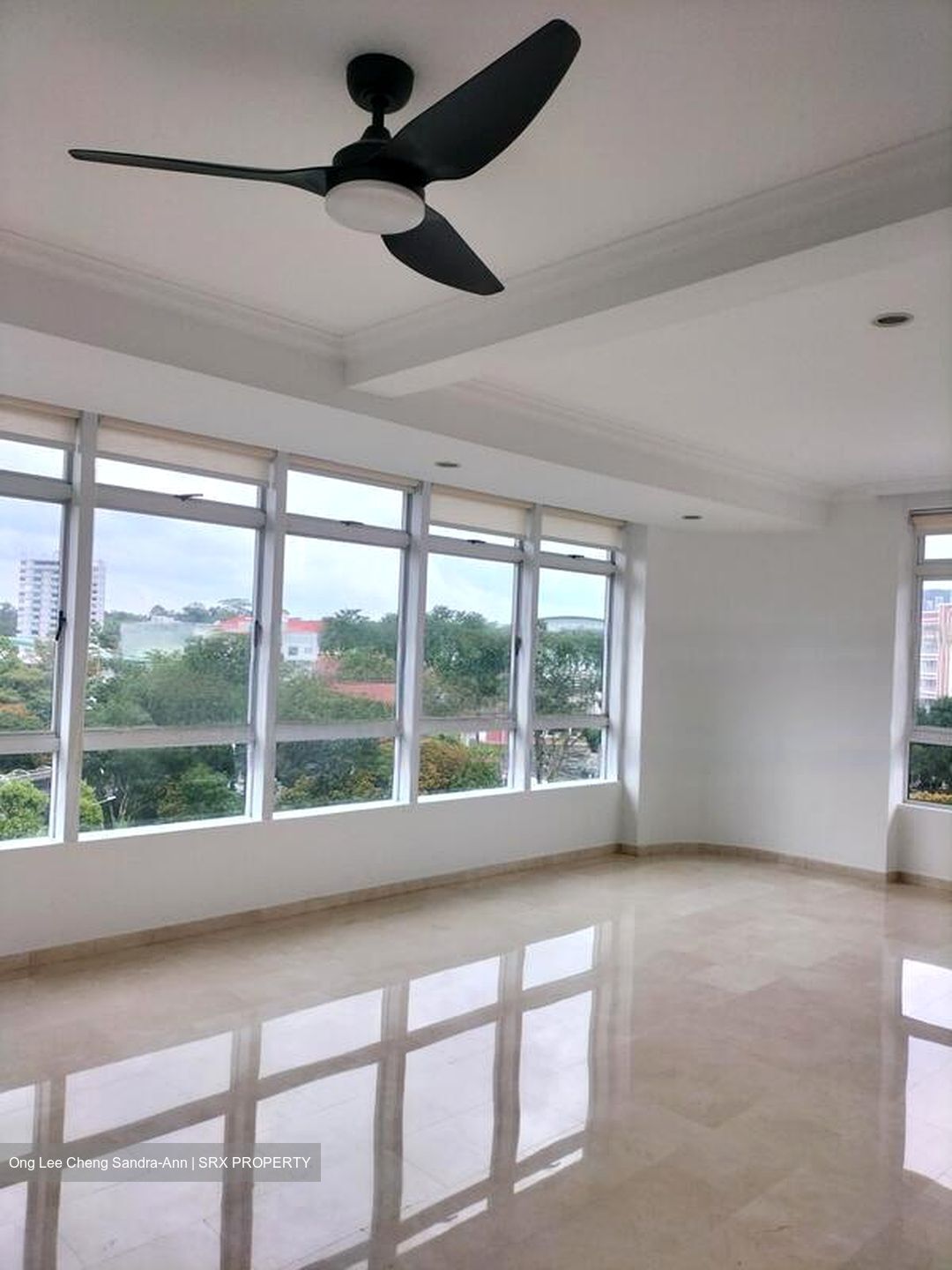 Balmoral Place (D10), Apartment #458946191